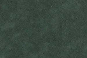 Spruce Suede