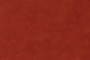 Persimmon Suede
