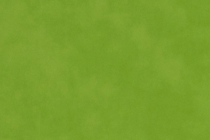 Cyber Green Suede