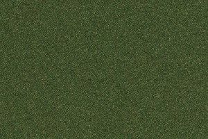 Astroturf