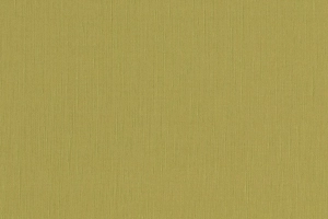 Wasabi Silken