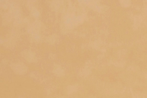 Thicket Suede