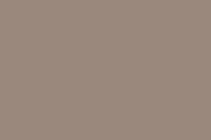 Field Mouse