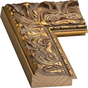 Beautiful Gold Frame Ornate