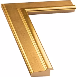 Brushed Gold Picture Frame