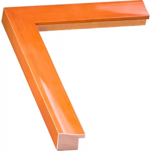 Orange Picture Frame