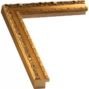 Fancy Gold Frame