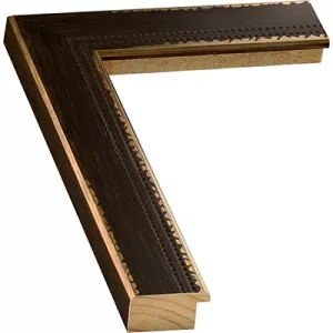 Black & Gold Frame