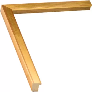 Thin Gold Frame