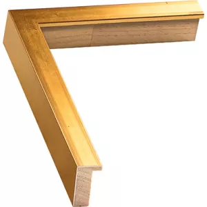 Gold Gallery Frame