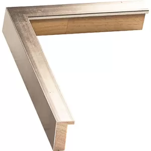 Gallery Picture Frame
