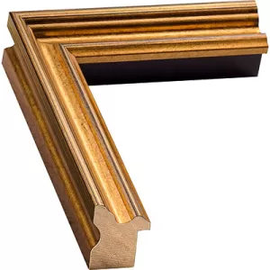 Traditional Gold Picture Frame