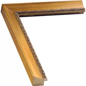 Gold Ornate Picture Frame