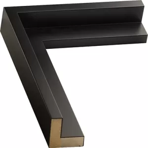 Black Floater Frame