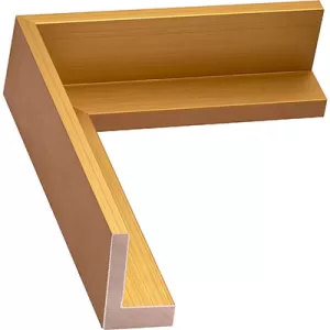 Gold Floating Frame