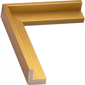 Gold Canvas Floater Frame