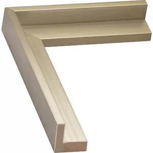 Silver Floating Frame