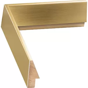 Contemporary Champagne Picture Frame