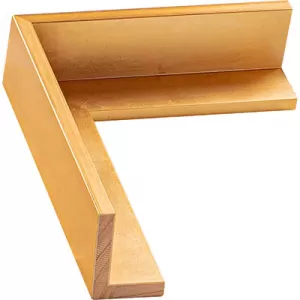 Gold Floating Frame