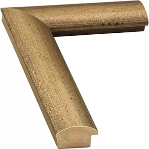 Champagned Picture Frame