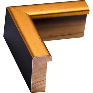 Gold - Black Picture Frame