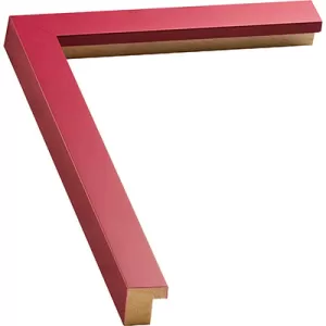 Pink Frame