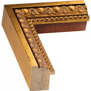 Ornate Gold Frame