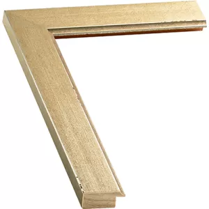 Unique Silver Picture Frame