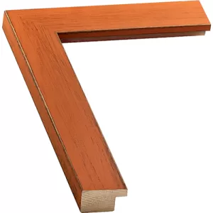Burnt Orange Picture Frame