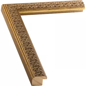 Fancy Gold Picture Frame