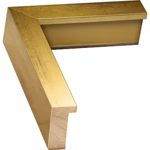 Gold Shadow Box Picture Frame