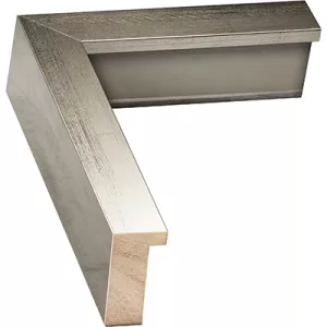Silver Shadow Box Picture Frame