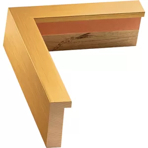 Gold Canvas Picture Frame