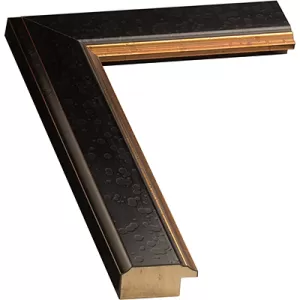 Black Frame With Gold Trim