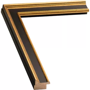 Small Antique Looking Picture Frame