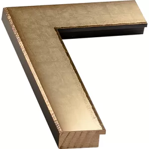 Silver And Gold Picture Frame