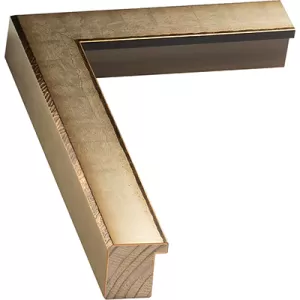 Gold And Silver Frame
