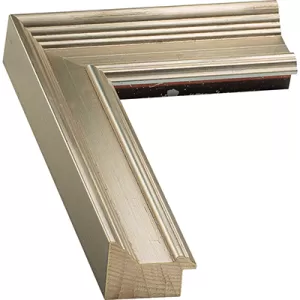 Silver Frame