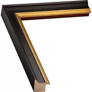 Black And Gold Picture Frame