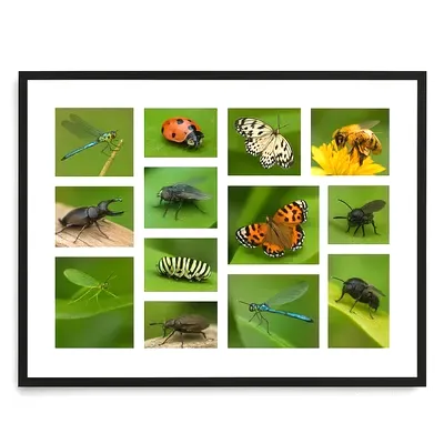 13 Hole Collage Mats
