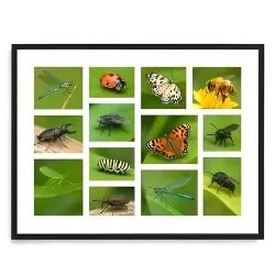 13 Hole Collage Mats