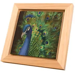 Panel Floater Frames